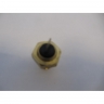 Lancia Flavia H2O sensor